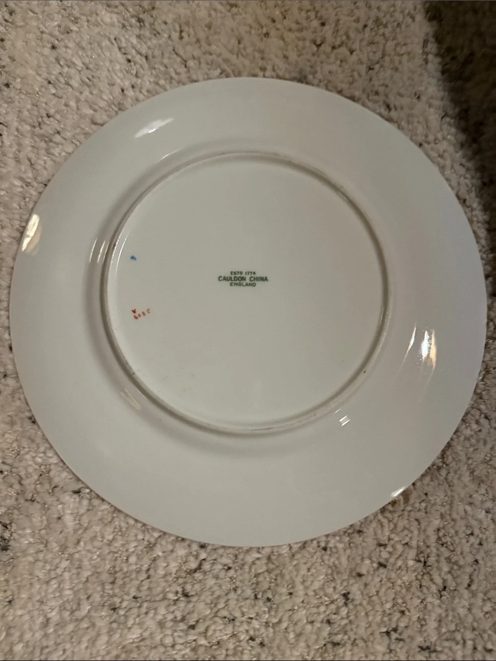 N/A elegant cream